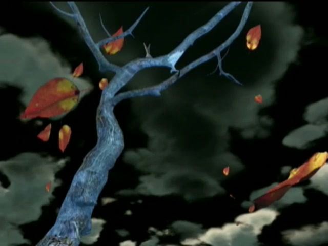 leaf to fish | 5min | 2006